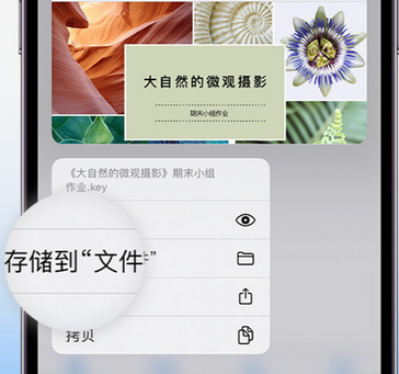 六枝特apple维修中心分享iPhone文件应用中存储和找到下载文件