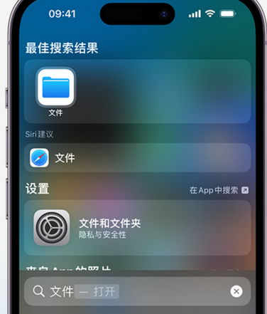 六枝特apple维修中心分享iPhone文件应用中存储和找到下载文件