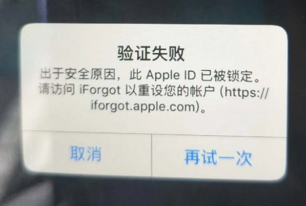 六枝特iPhone维修分享iPhone上正常登录或使用AppleID怎么办 