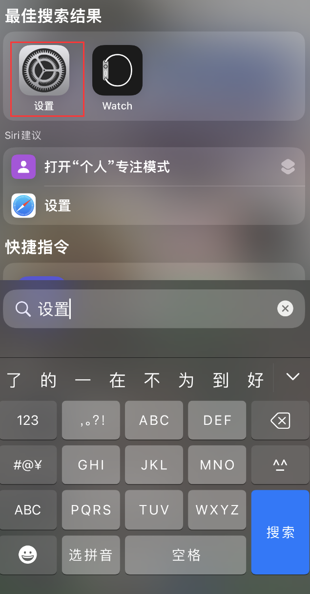 六枝特苹果手机维修分享：iPhone 找不到“设置”或“App Store”怎么办？ 