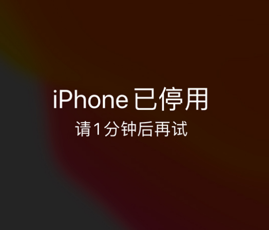 六枝特苹果手机维修分享:iPhone 显示“不可用”或“已停用”怎么办？还能保留数据吗？ 