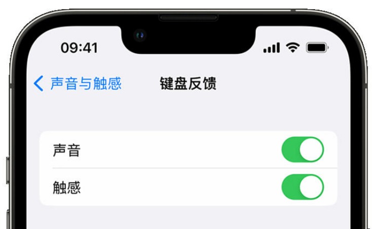 六枝特苹果手机维修分享iPhone 14触感键盘使用方法 