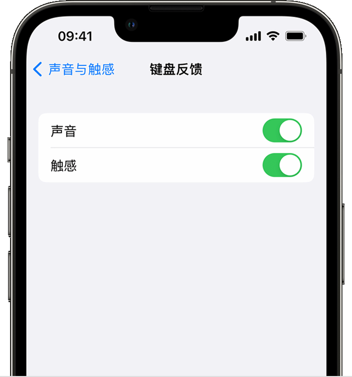 六枝特苹果14维修店分享如何在 iPhone 14 机型中使用触感键盘 