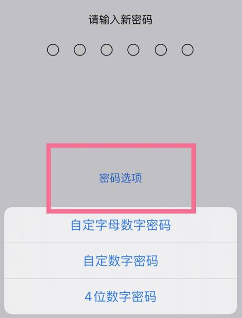 六枝特苹果14维修分享iPhone 14plus设置密码的方法 