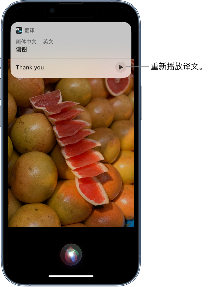 六枝特苹果14维修分享 iPhone 14 机型中使用 Siri：了解 Siri 能帮你做什么 