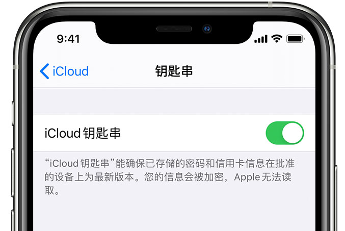 六枝特苹果手机维修分享在 iPhone 上开启 iCloud 钥匙串之后会储存哪些信息 