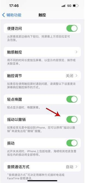 六枝特苹果手机维修分享iPhone手机如何设置摇一摇删除文字 